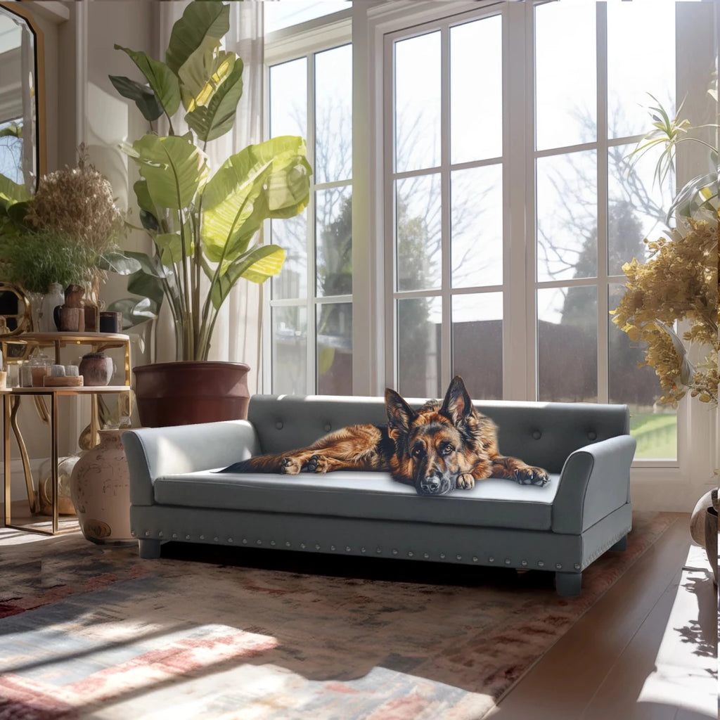 Canapé pour 2 places chien xxl avec grand chien brun