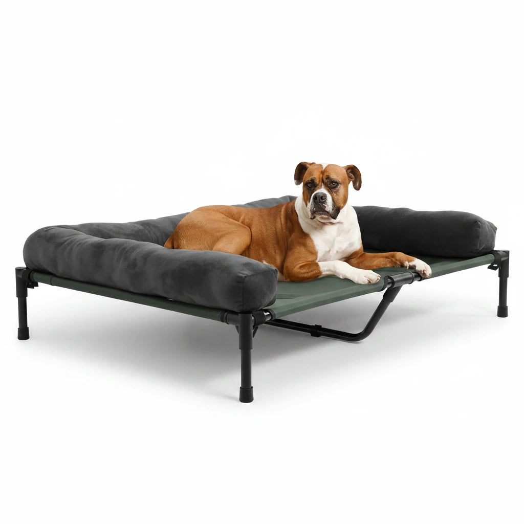 canapé chien noir surélevé respirant et lavable avec un chien brun et blanc couché dessus. Image produit Boutiquechien