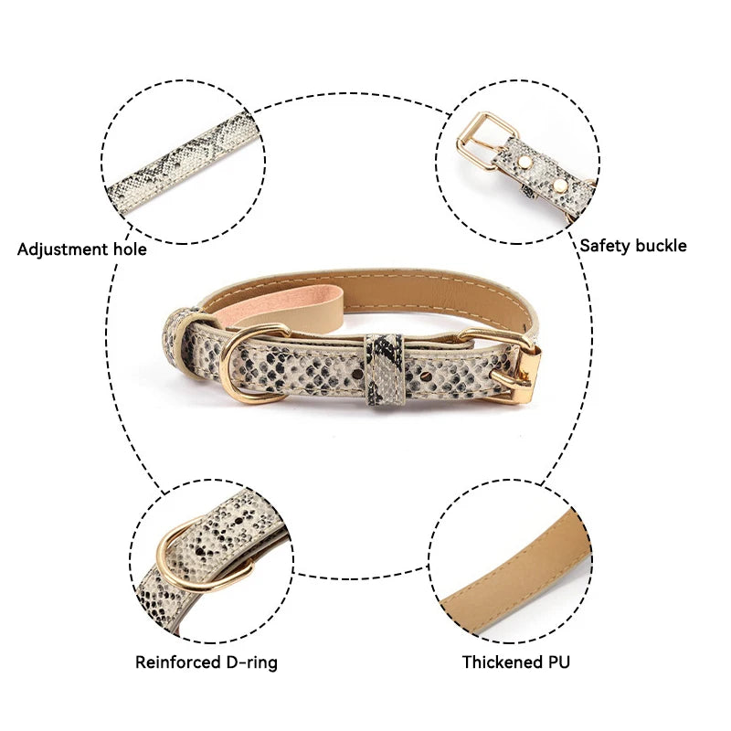 Collier chien chic caractéristique total 