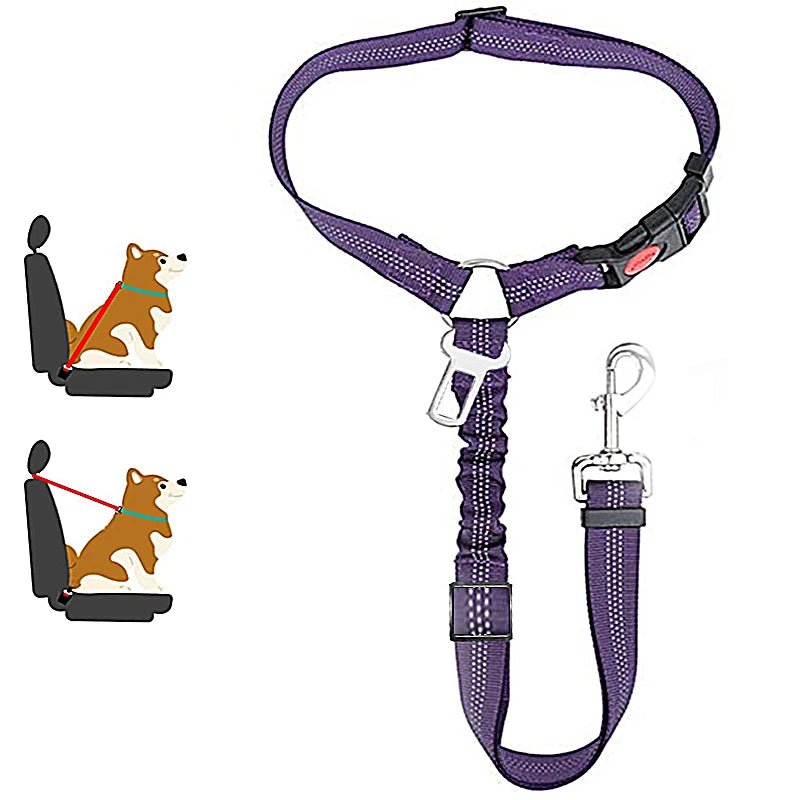 ceinture de sécurité de couleur violet avec de nombreuses attache pour chien. Image produit Boutiquechien