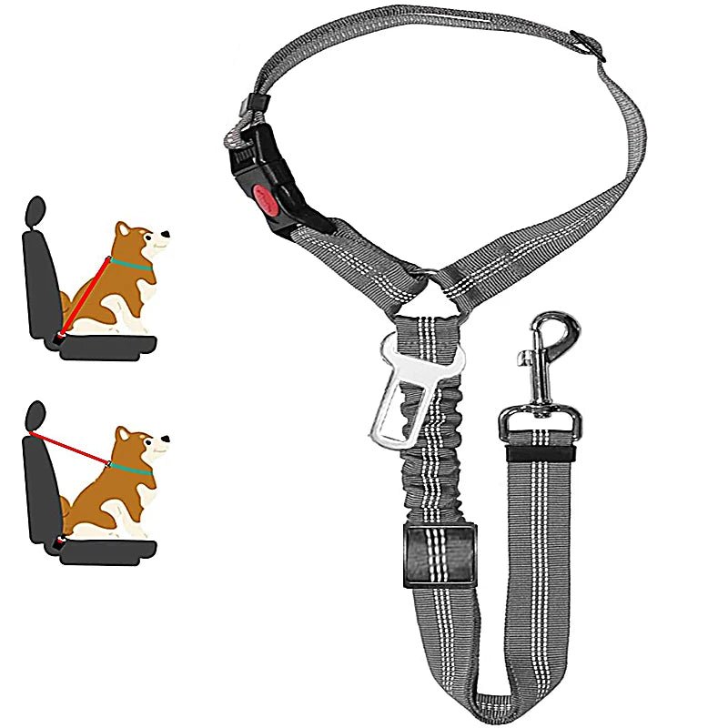 ceinture de sécurité de couleur gris 
 avec de nombreuses attache pour chien. Image produit Boutiquechien