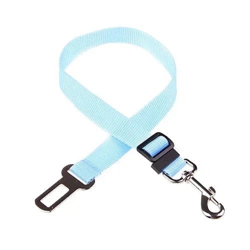 Laisse ceinture chien bleu claire de boutiquechien