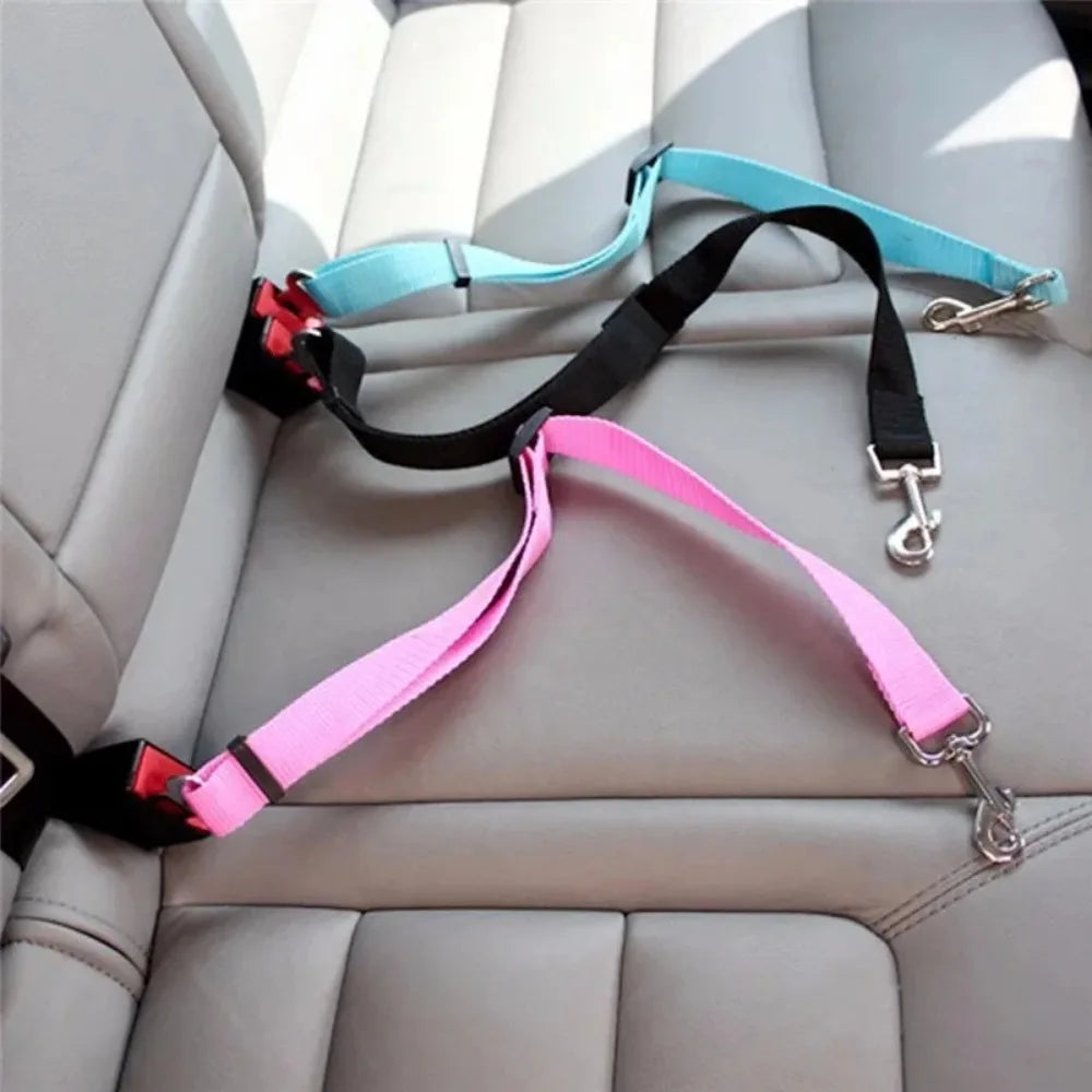 Ceinture de sécurité de différentes couleurs à l'arrière d'une voiture pour chien. Image produit Boutiquechien