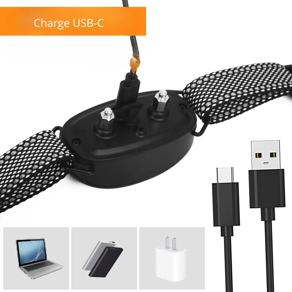 collier chien anti aboiement de couleur noir avec câble de charge usb usbc de Boutiquechien