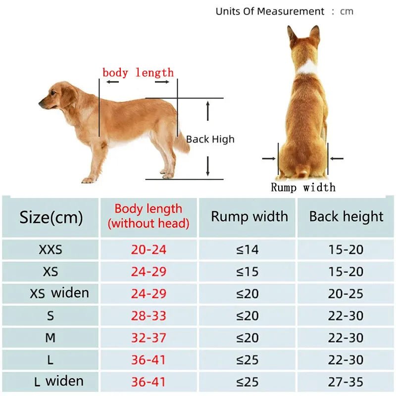 Dimensions total du chariot de marche pour chien handicapé avec un tableau de des tailles. Image produit Boutiquechien