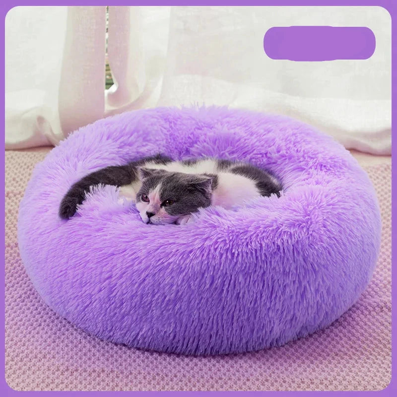 petit chat gris et blanc couché dans son panier fluffy violet pour chien de couleurs violet. Image produit boutiquechien
