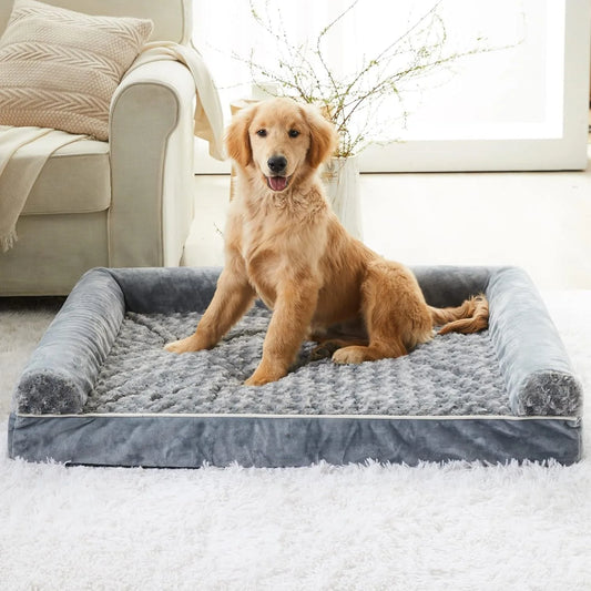petit chiot roux assis sur son panier multi-saison gris dans un salon de couleurs blanc avec un tapis au sol blanc, un canapé blanc et un pot de fleur blanc. Le image produit boutiquechien