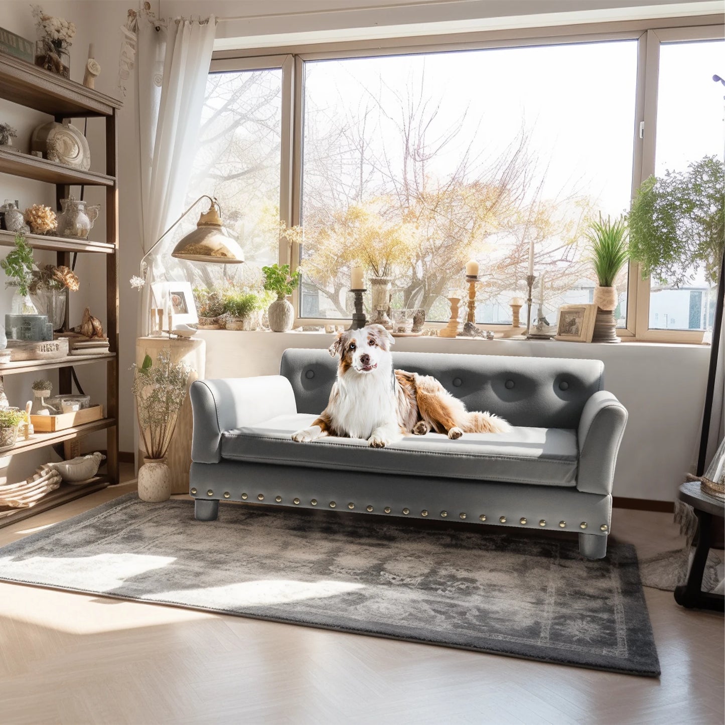 canapé pour chien blanc et brun couché sur un canapé de couleur gris avec une grande fenêtre. Cette pièce possède énormément de pièce. Image produit Boutiquechien
