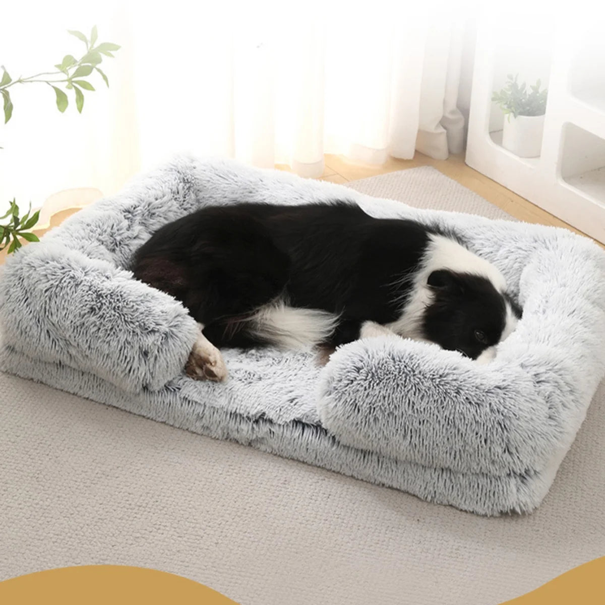 Chien qui dors dans son panier chien xl de couleur gris dans un salon de couleur claire. image produit Boutiquechien