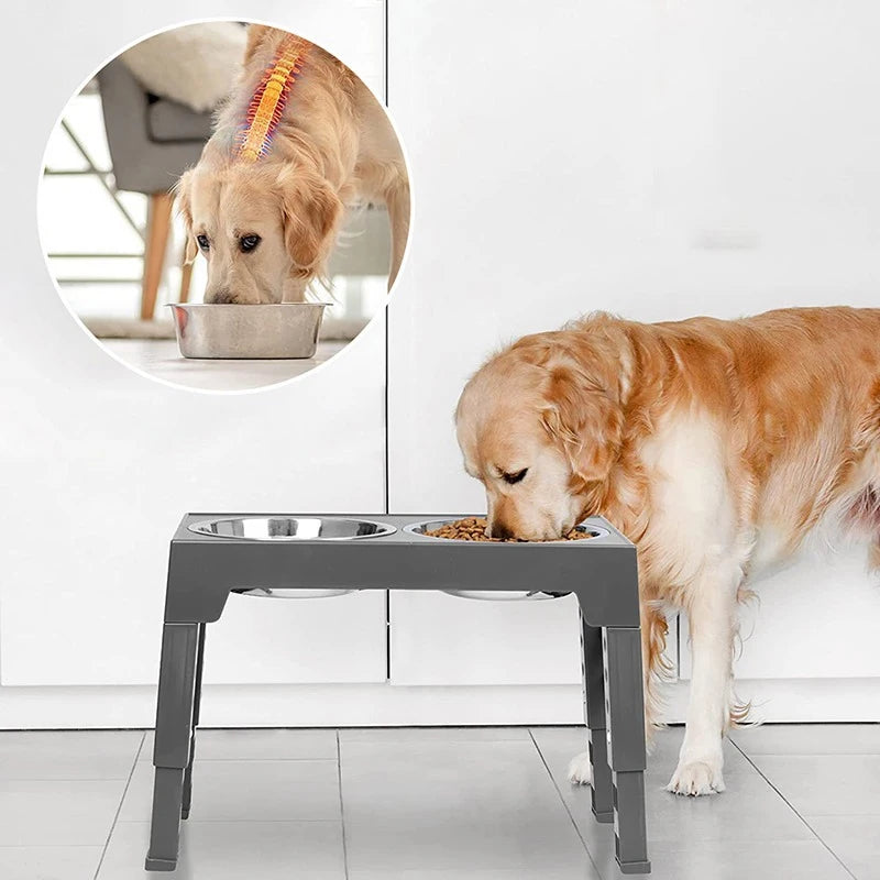 Chien de couleur claire mangeant dans une gamelle surélevé grise. En fond il y a un fond blanc. Image montrant le bon fonctionnement. Image produit Boutiquechien