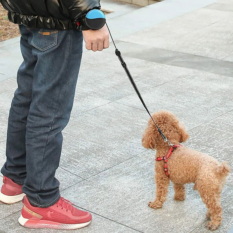 Laisse main attaché sur le bras du maître qui tient le chien. Le chien est de couleur brun et à des poils touffus. Le chenets maintenu dans la rue sur les pavés gris. Image produit Boutiquechien