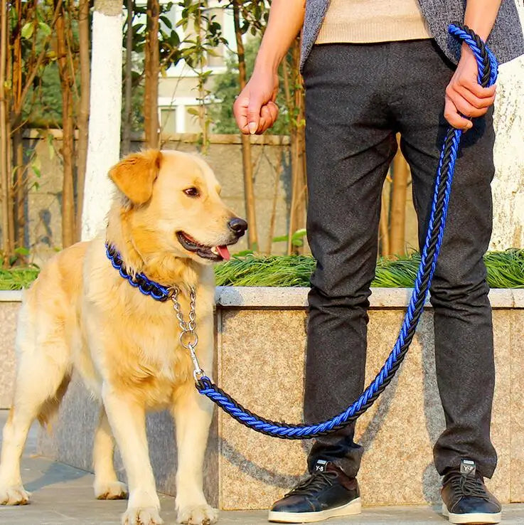 Gros chien de couleur claire debout en ville se faisant tenir par un homme le tenant en laisse avec une corde tresse bleu et noir  Image
