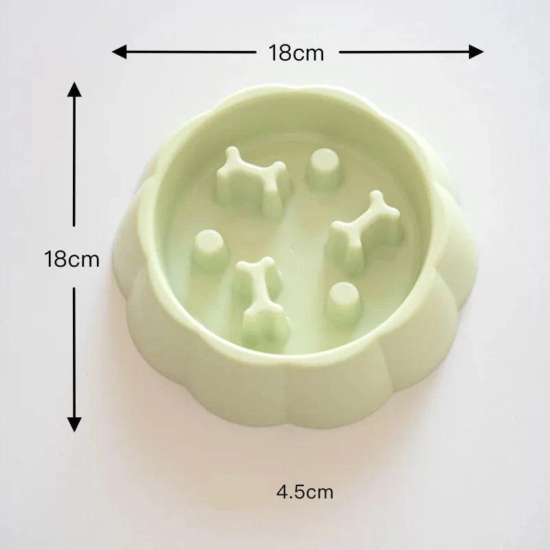 Gamelle pour les chiens de couleur vert claire de boutiquechien
