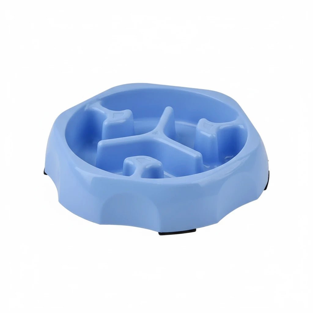 Gamelle pour chien anti-glouton de couleur bleu dans un fond blanc. Image produit Boutiquechien