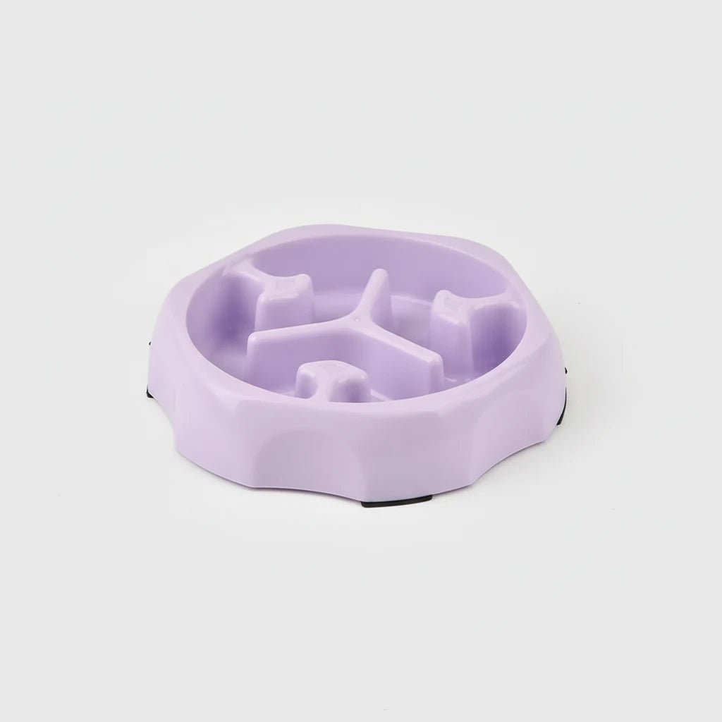 Gamelle pour chien anti-glouton de couleur violette pour les chiens de boutiquechien