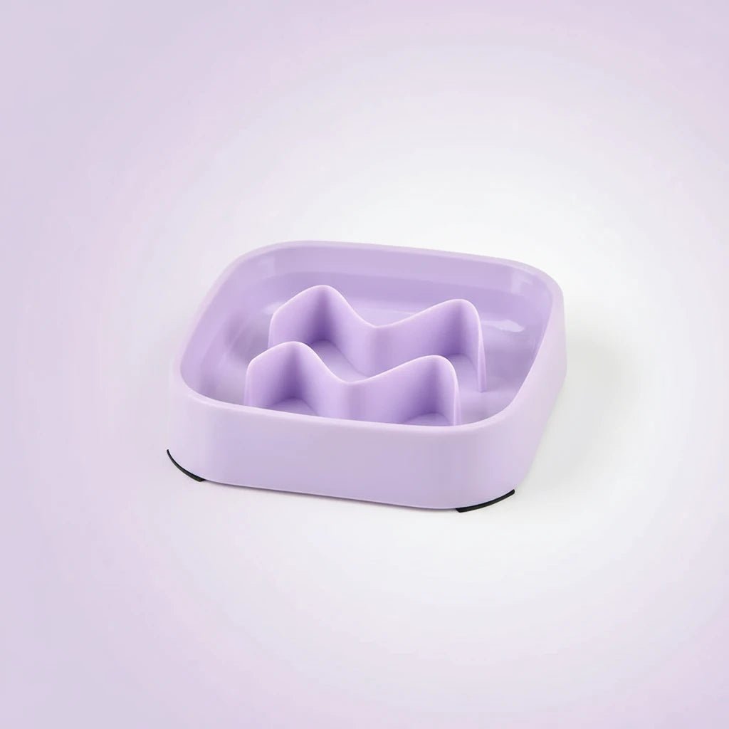 gamelle chien anti glouton de couleur violette mis en valeur dans un fond blanc. Image produit Boutiquechien