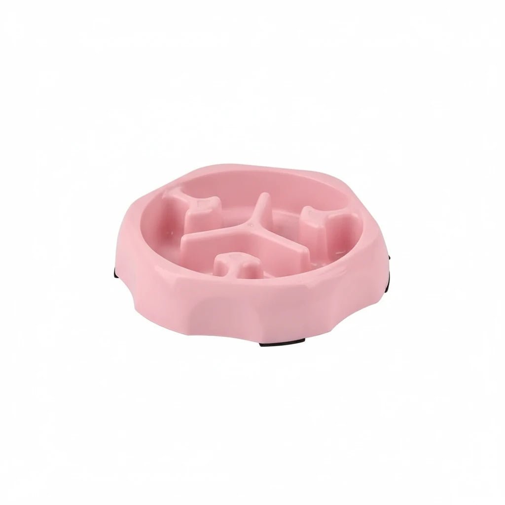 Gamelle pour chien de couleur rose anti)glouton de boutiquechien
