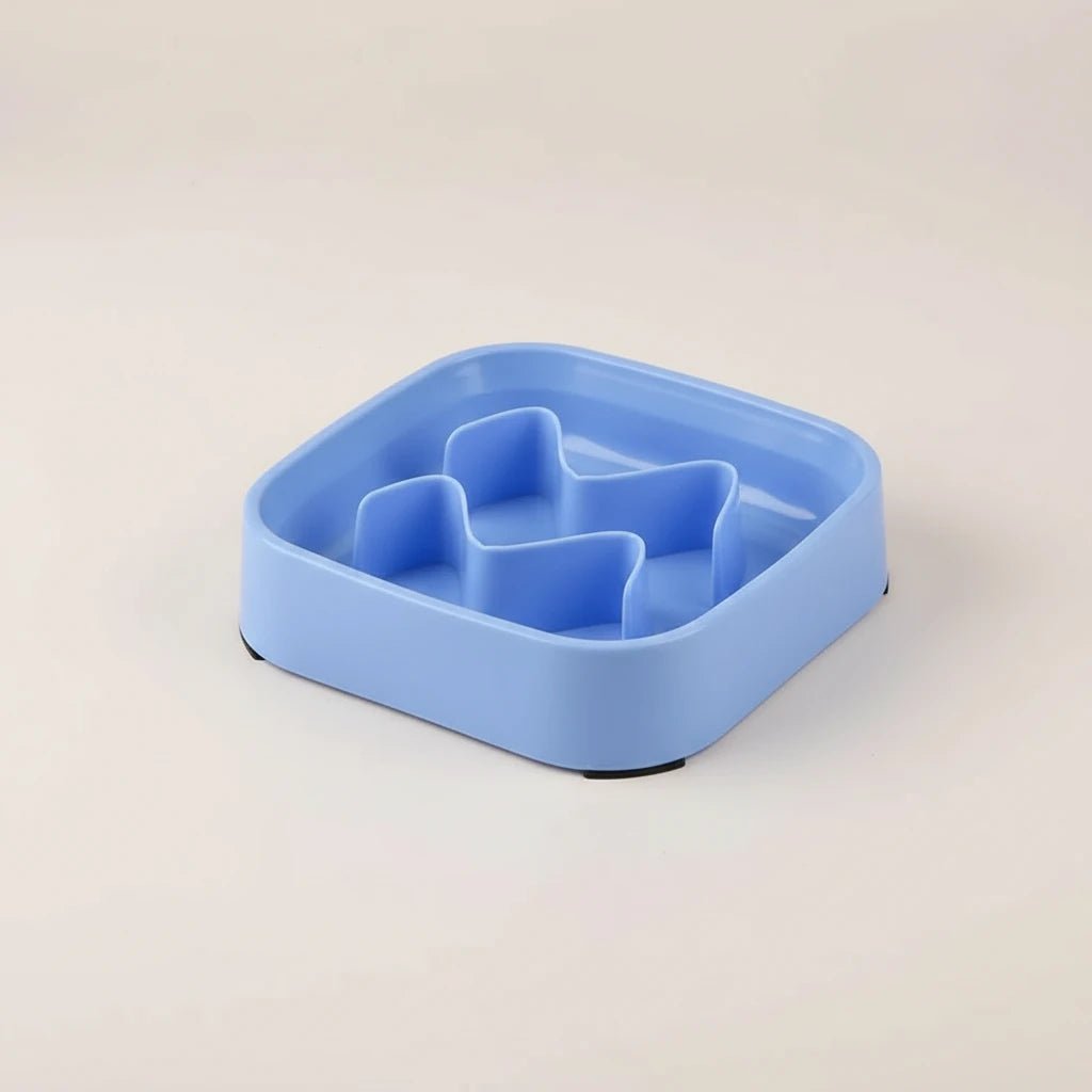 Gamelle pour chien bleu anti)glouton de boutiquechien