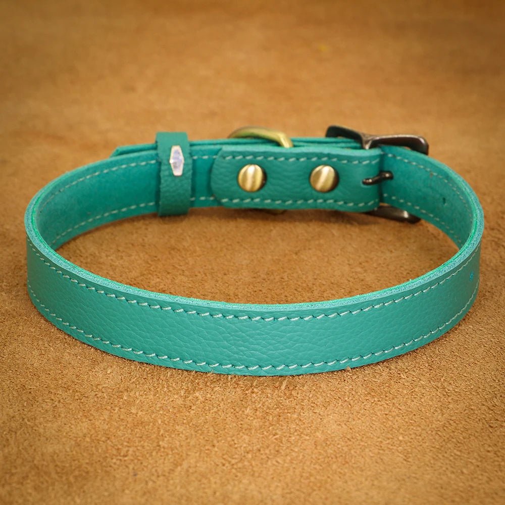 collier cuir pour chien bleu pour petit chien. Image produit Boutiquechien