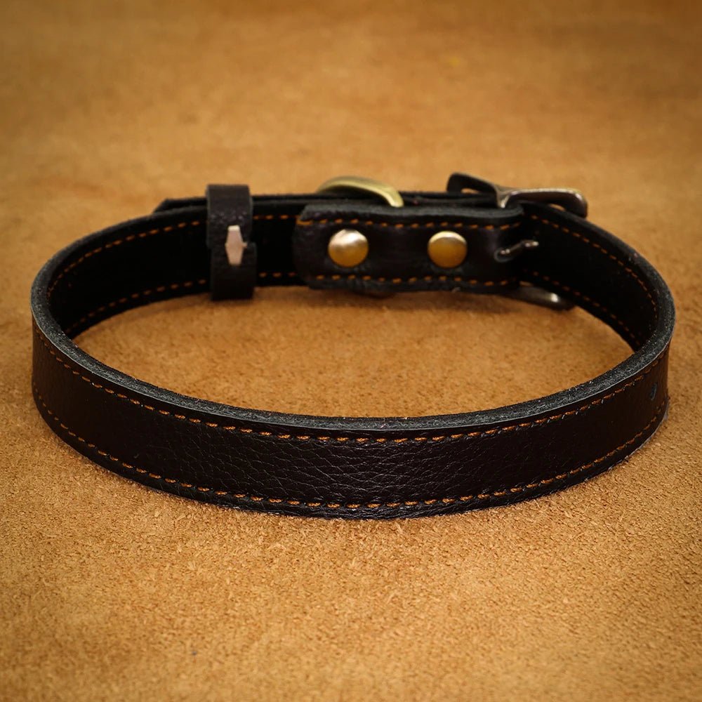 collier cuir pour chien noir pour petit chien. Image produit Boutiquechien