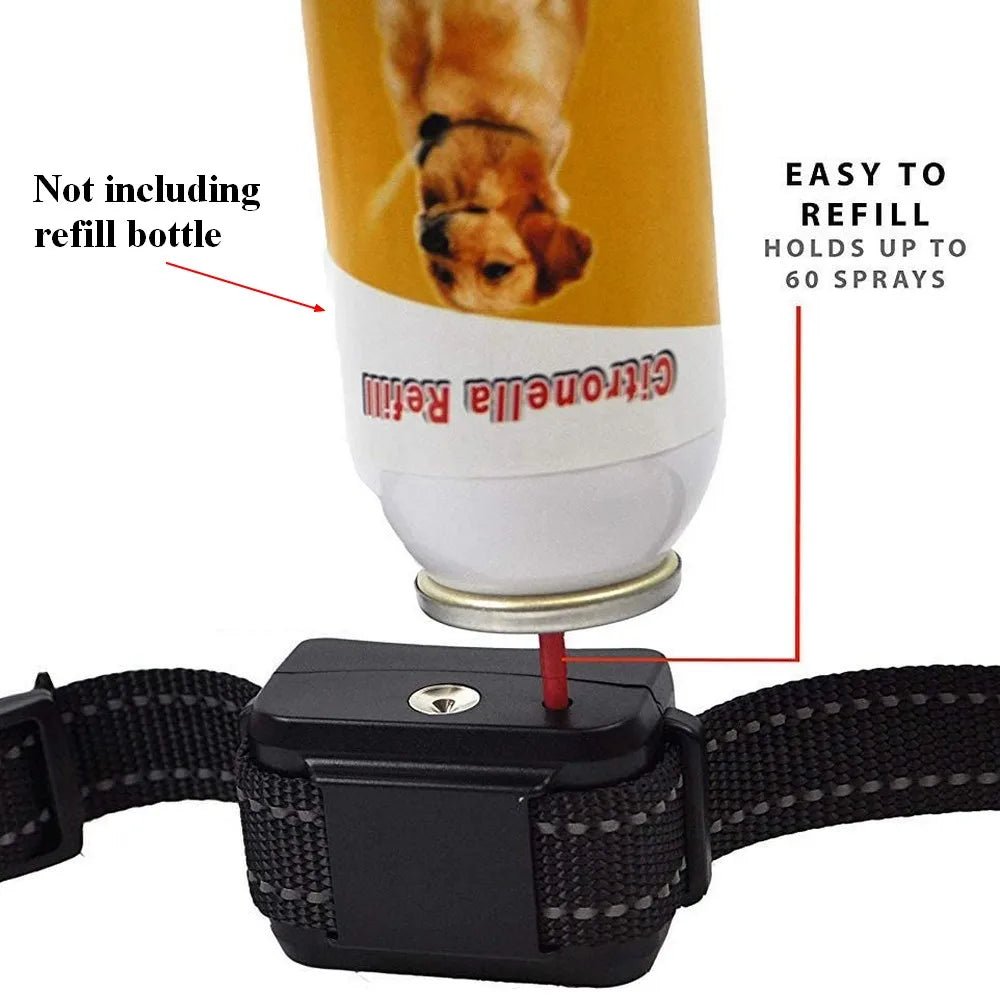 Collier anti aboiement a la citronnelle pour petit chien fonctionnement du produit 