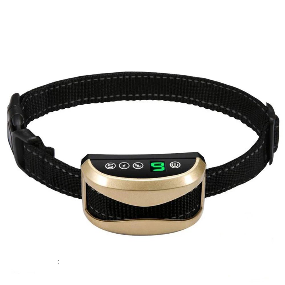 collier pour chien anti-aboiement de couleur or rose avec collier noir. Image produit Boutiquechien