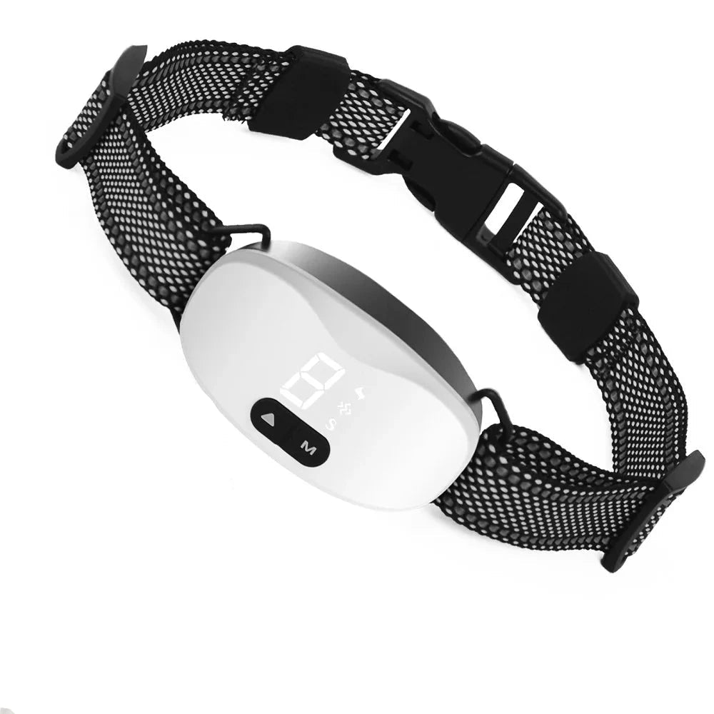 Petit chien portant le collier anti-aboiement pour chien de couleur blanc et noir. Image produit Boutiquechien