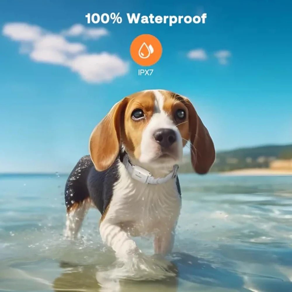 Collier anti-aboiement pour petit chien de 2 kg waterproof