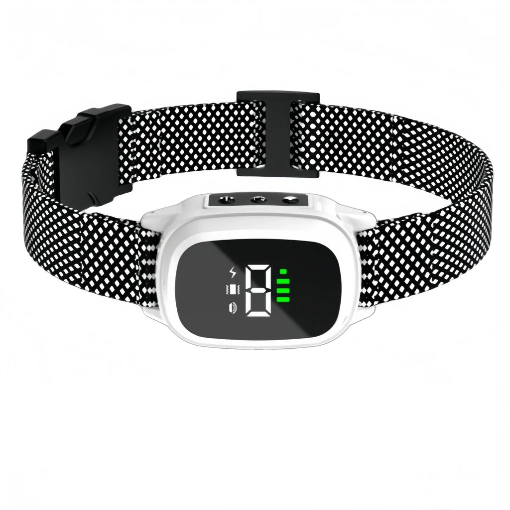 Collier anti aboiement pour petit chien de 3 kg blanc 