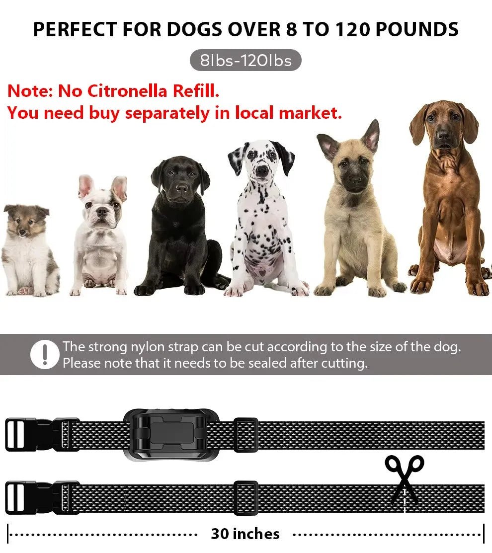 Collier anti aboiement spray pour petit chien dimensions 