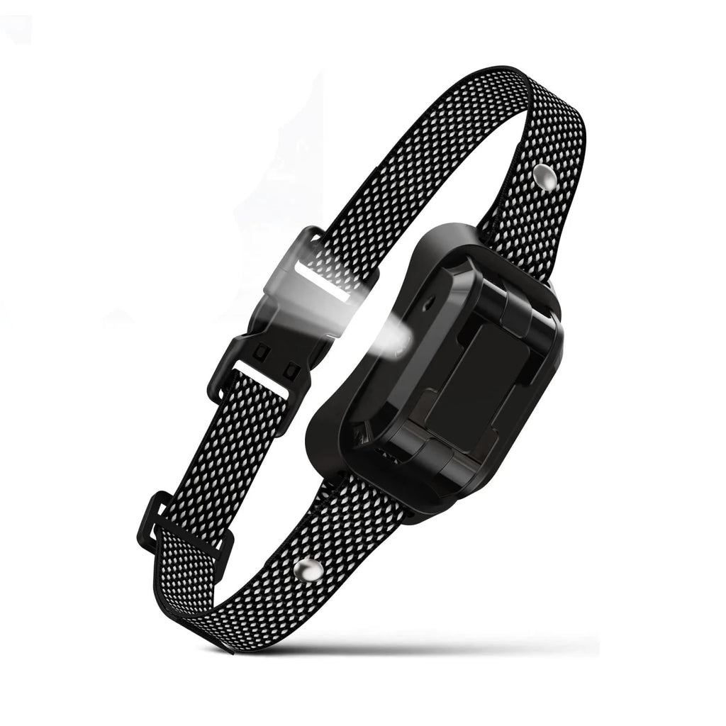 Collier anti aboiement spray pour petit chien