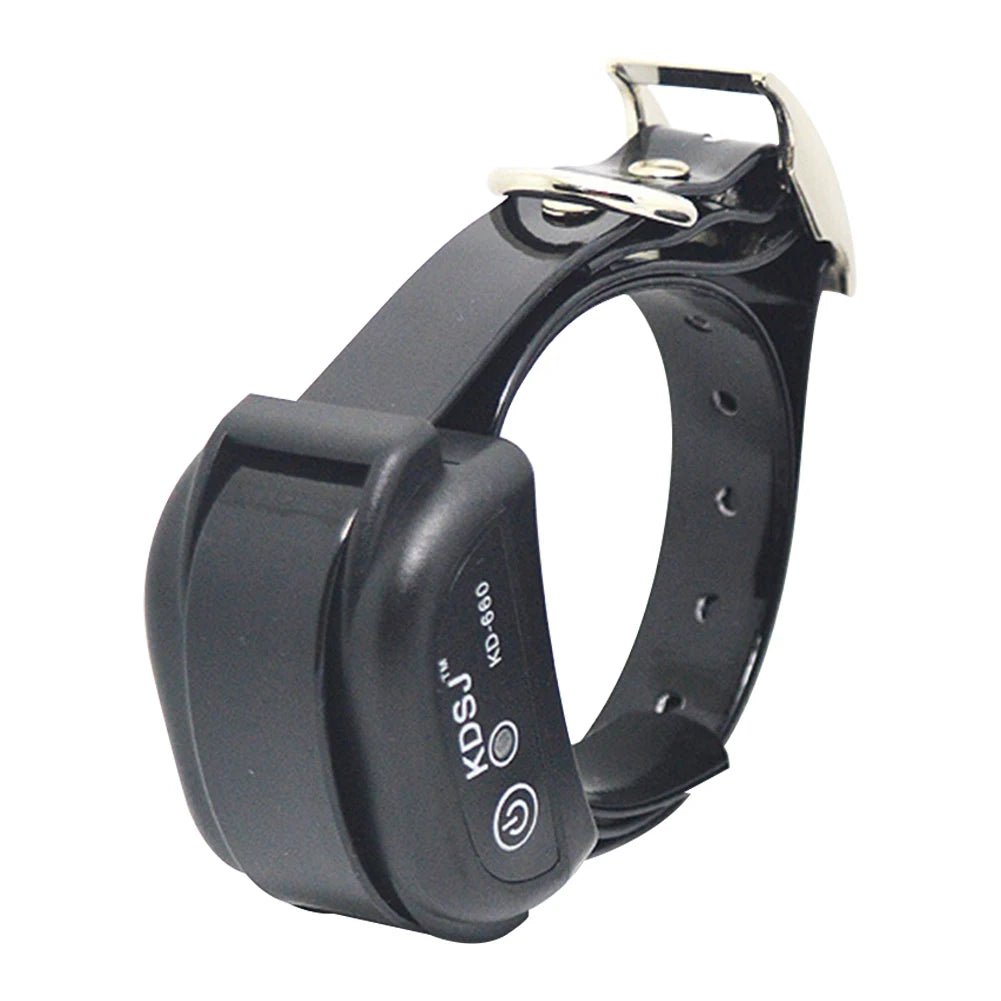 Collier chien de couleur noir pour les chiens qui s'enfuie. parfait pour éviter les fuites de votre chien. Image produit Boutiquechien 