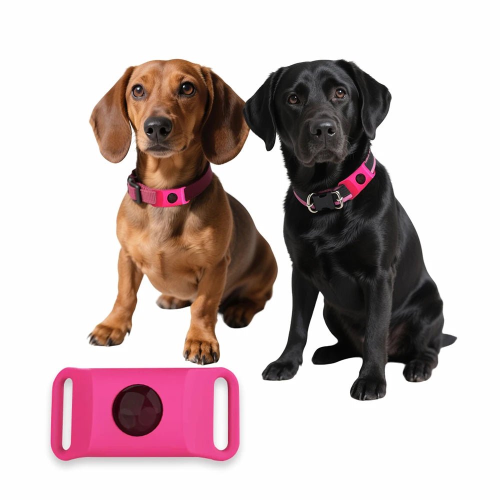 Collier anti puce chien naturel rose de boutiquechien