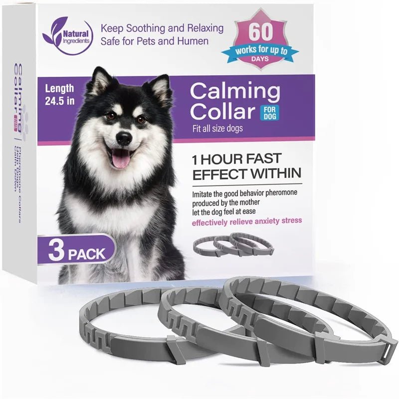 Collier anti-stress chiot