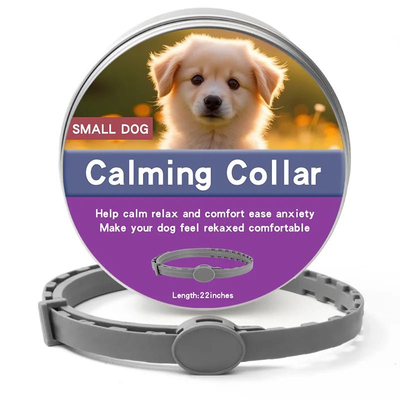 Collier anti-stress pour chiot de couleur gris