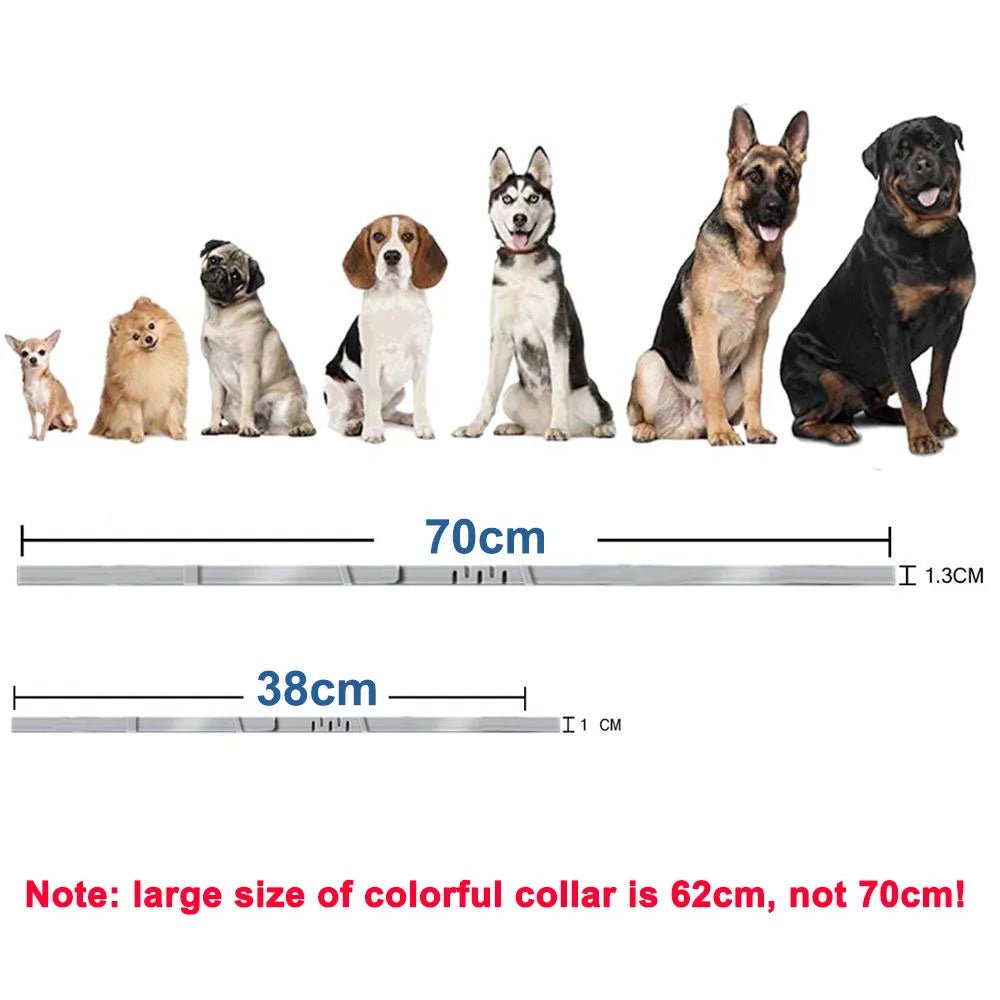 Collier anti tique chiot dimensions