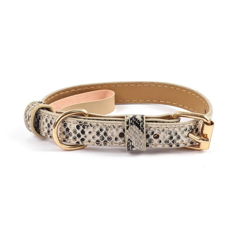 Collier chien chic