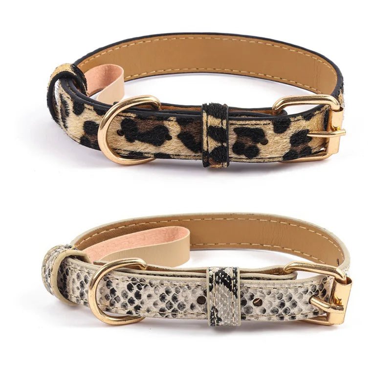Collier chien chic deux couleurs