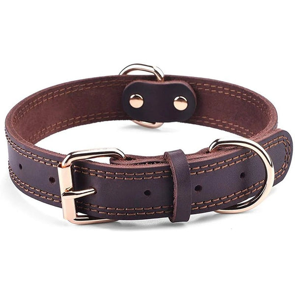 Collier pour chien en cuir haut de gamme brun