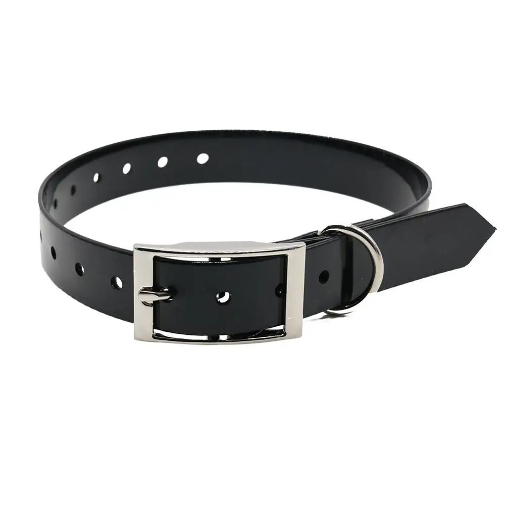Collier chien de chasse noir