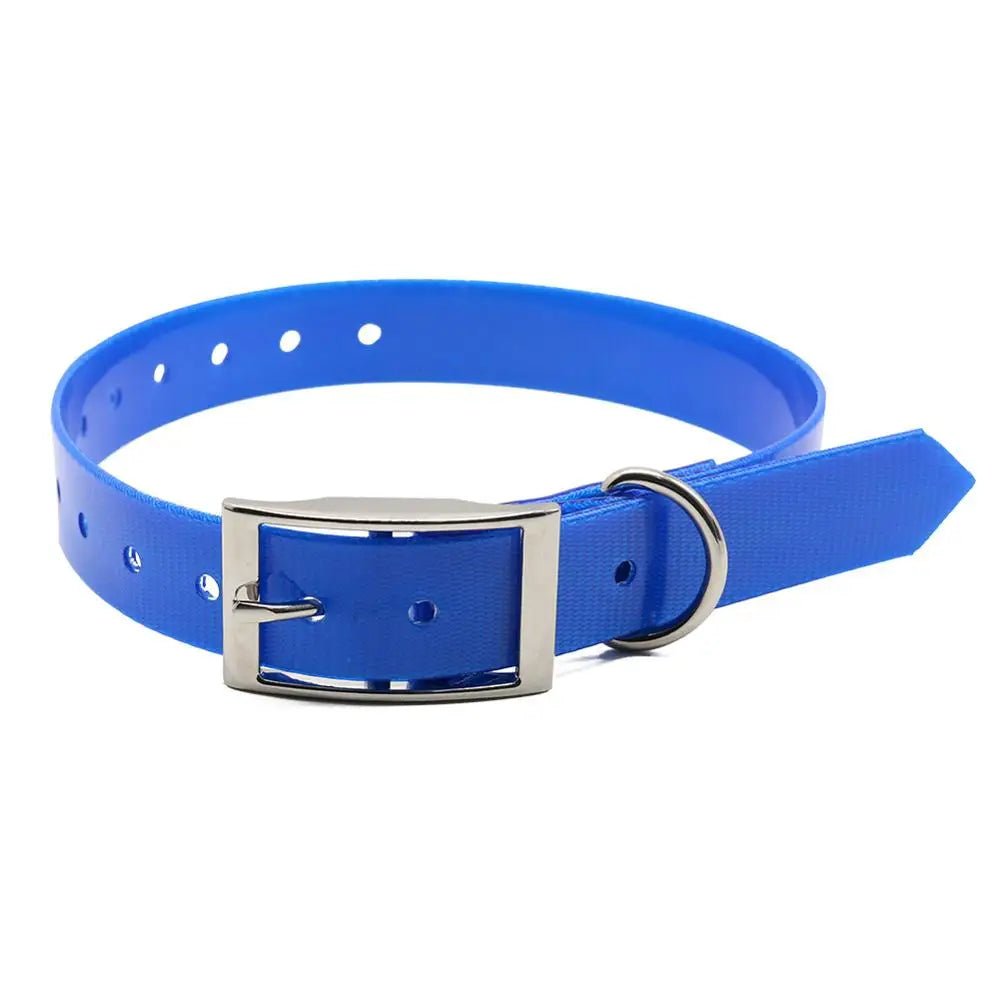 Collier chien de chasse bleu