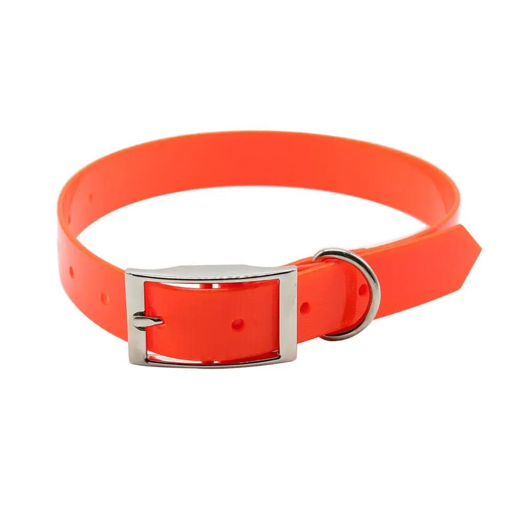 Collier chien de chasse rouge