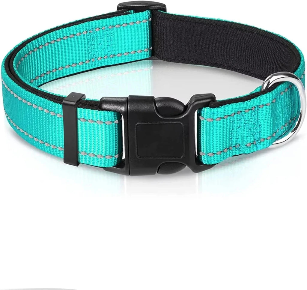 Collier chien pour la nuit 