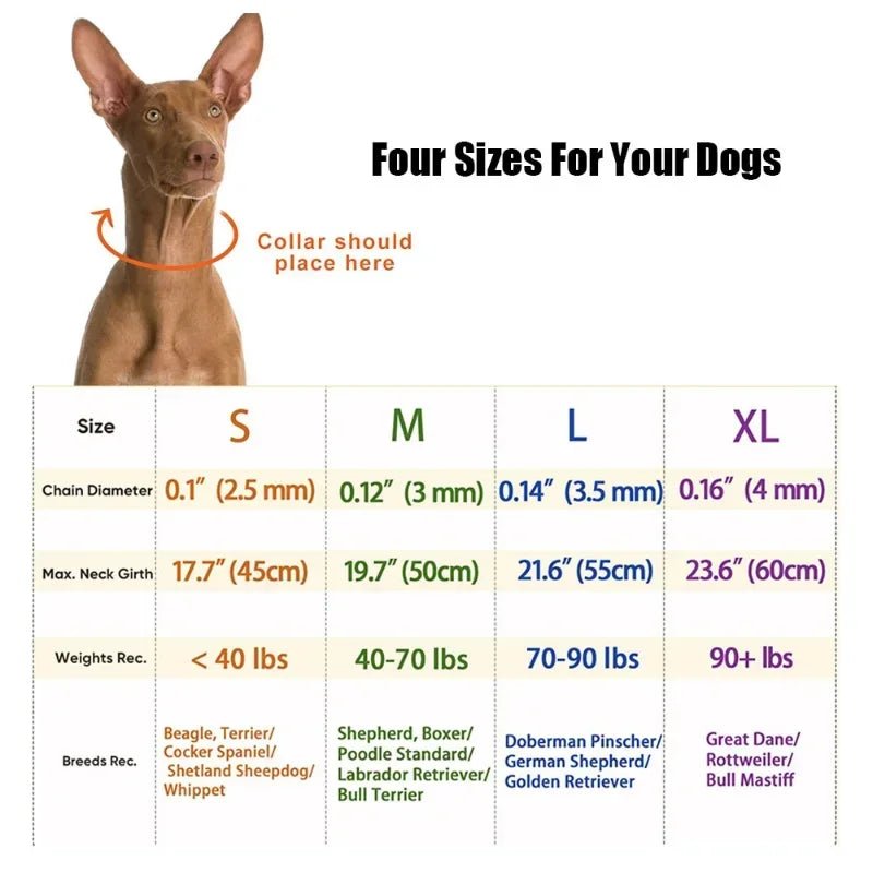 Collier chien qui tire dimensions
