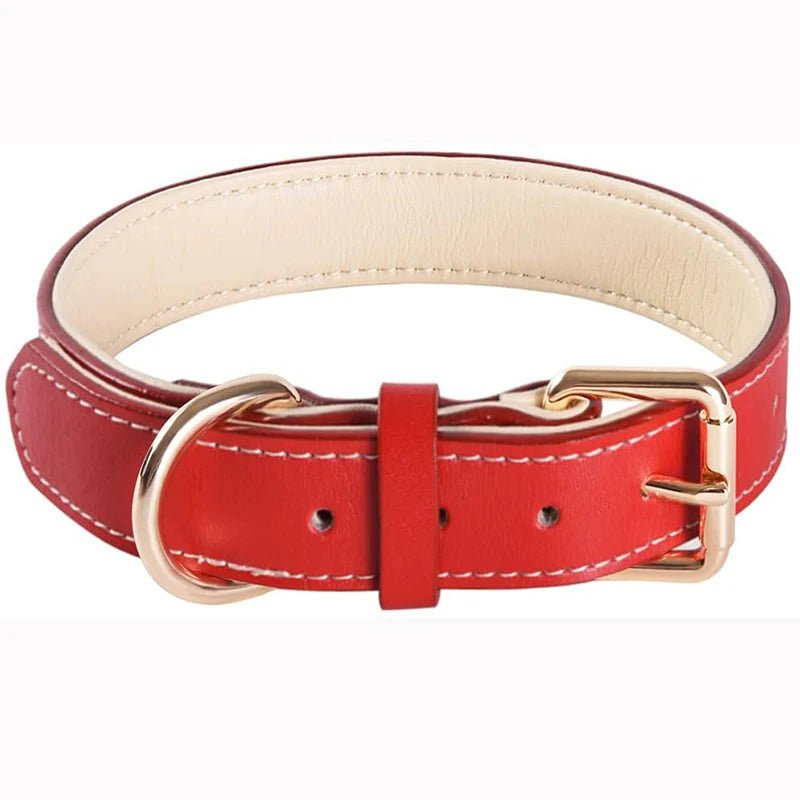 Collier chien rouge en cuir rouge et blanc