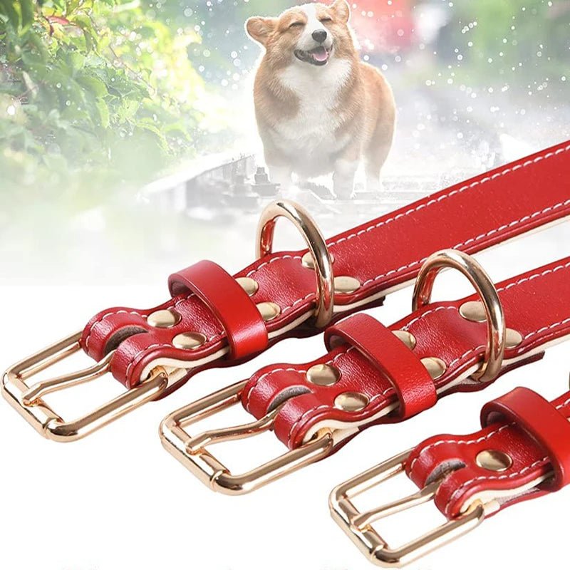 Collier chien rouge en cuir attache du produit 