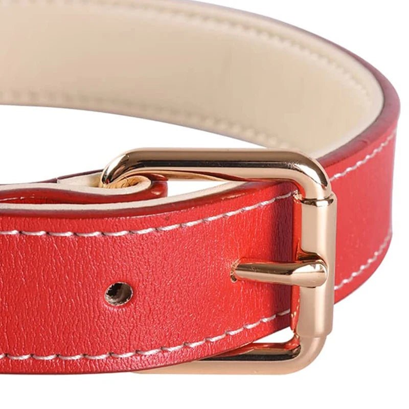 Collier chien rouge en cuir attache produit 