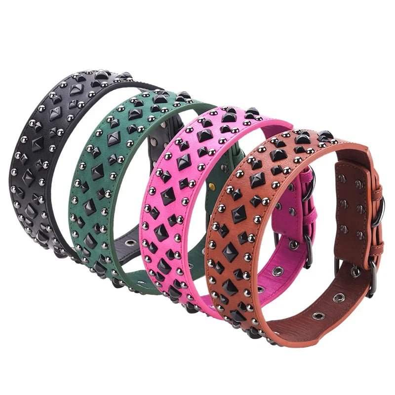 Collier chien solide de différentes couleurs 