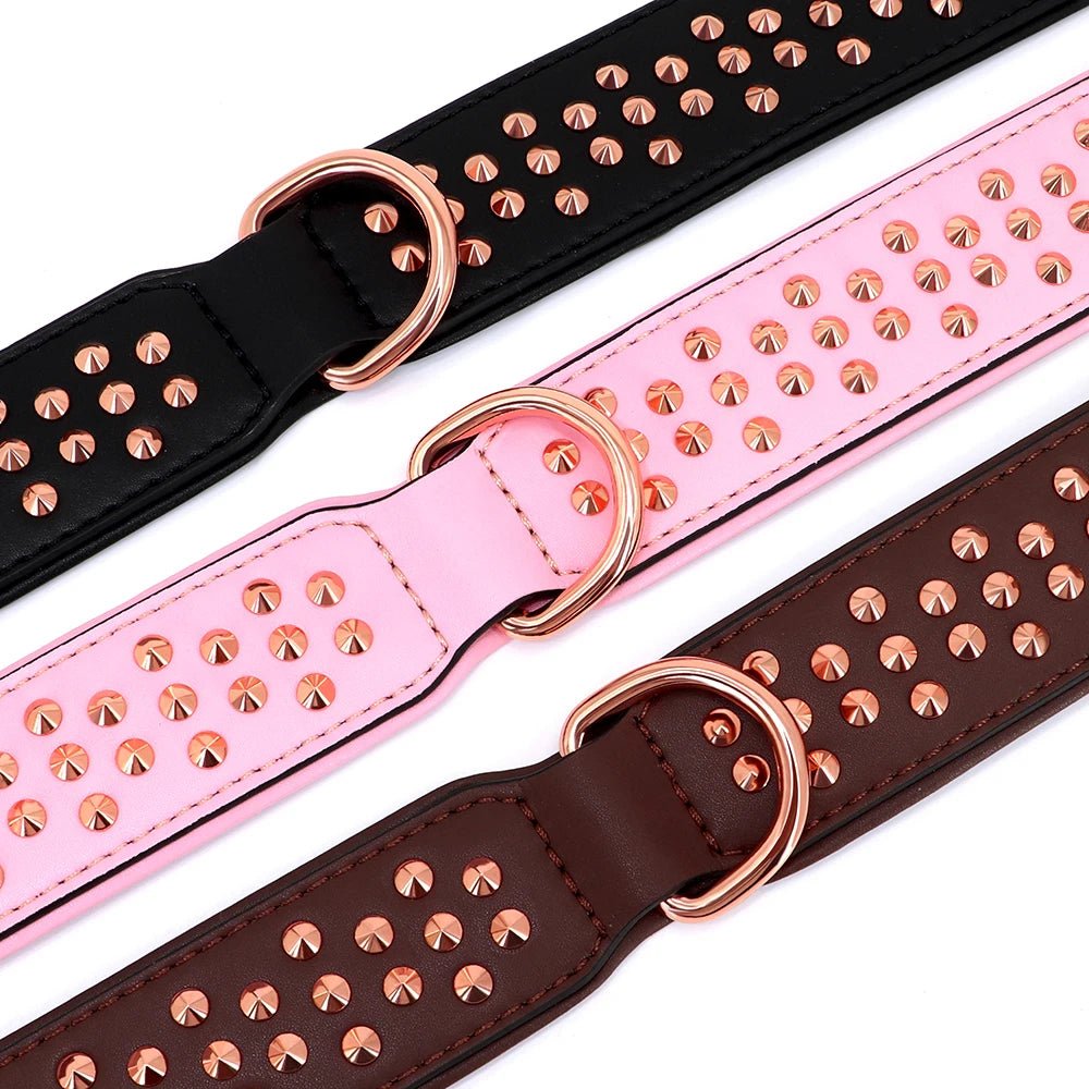 Collier chien tendance de couleurs différentes pose 