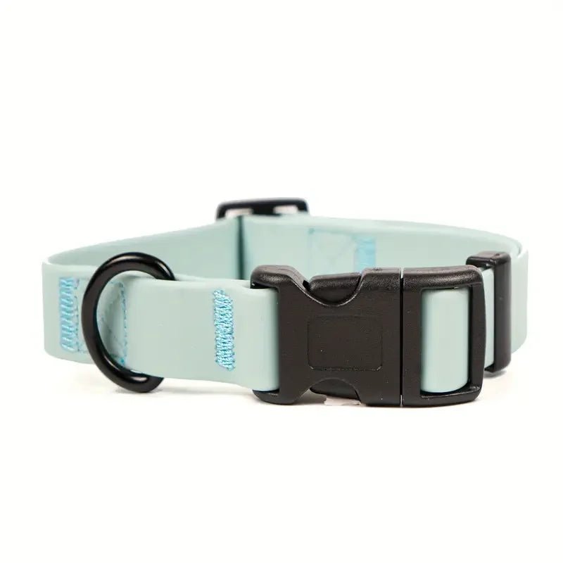 Collier chien vert 